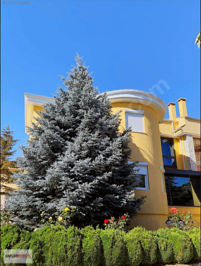 80. YIL SİTESİNDE KIŞ BAHÇELİ VİLLA